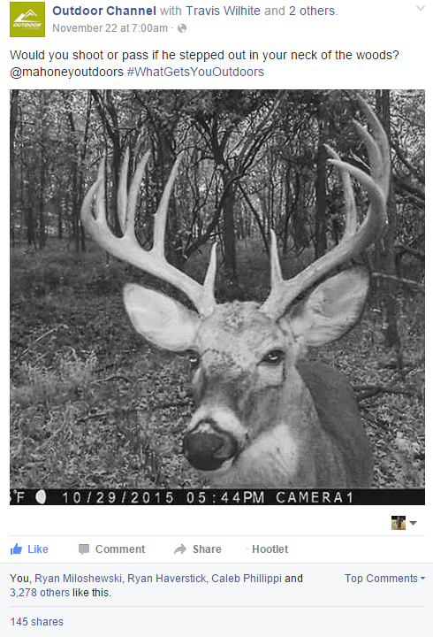 A Snap of A Deer Clicked By Camera