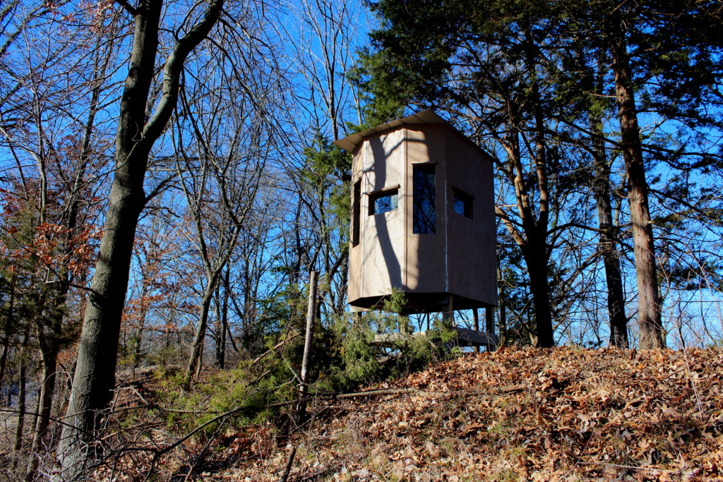 Trail Trimming Tips for your Deer Stand