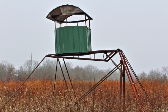 Image of the Deer Stand in open