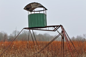 Deer Stand in open 1